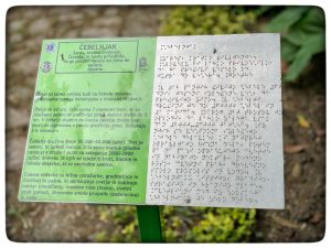 Označevalna tabla v Brajevi pisavi v Parku slepih na Šoli za hortikulturo in vizualne umetnosti