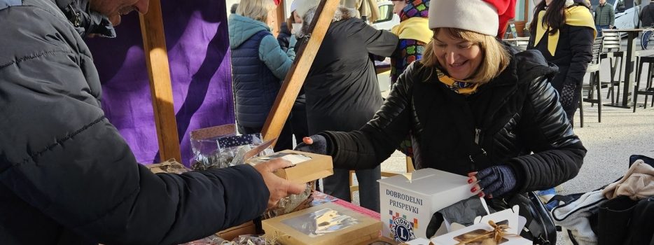 Decembrska dobrodelna stojnica